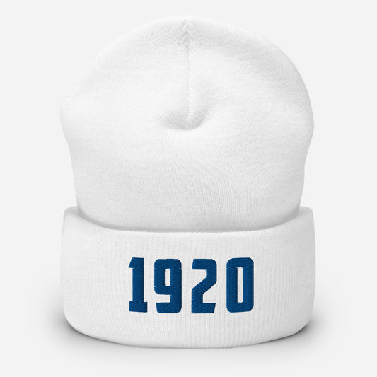 Zeta 1920 Beanie