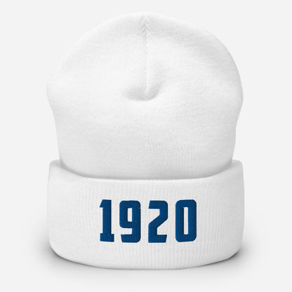 Zeta 1920 Beanie